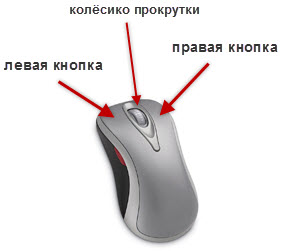 kompyuternaya_mysh.jpg